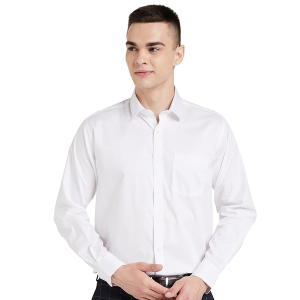 Plain Men's Solid Cotton Formal Shirt
