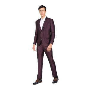 Men Wine Single Breasted Two Piece Suit
